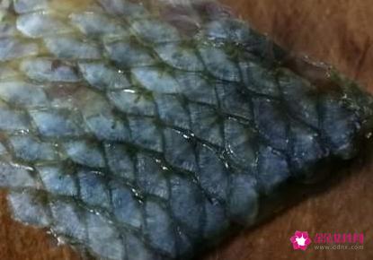 鱼干做法和步骤