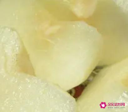 梨子皮能吃吗