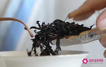 各种茶泡茶水温和时间