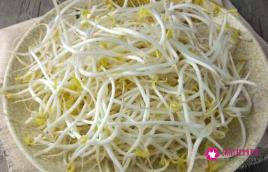 十大减肥食物排行榜