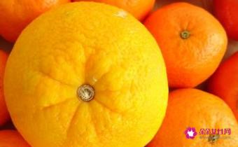 常用食物相克常见食物相克