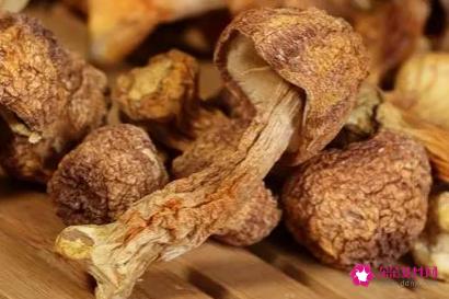 姬松茸的功效与作用及食用方法