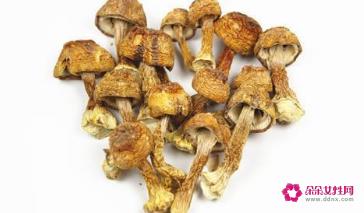 姬松茸的功效与作用及食用方法