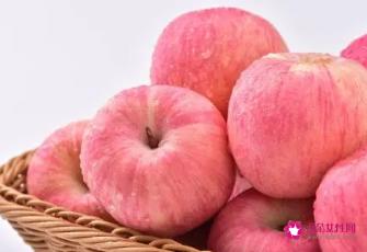 苹果的营养及含量