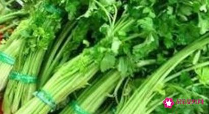 常见食物的营养价值