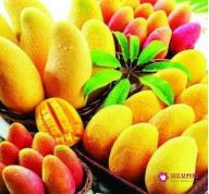 水果有哪些种类