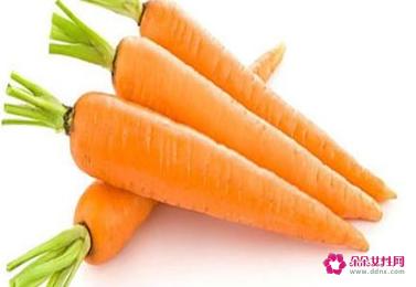 各种蔬菜的营养价值表