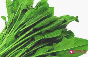 各种蔬菜的营养价值表