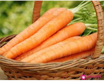 十大最养胃的食物