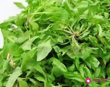 荠菜饺子馅怎么调才好吃
