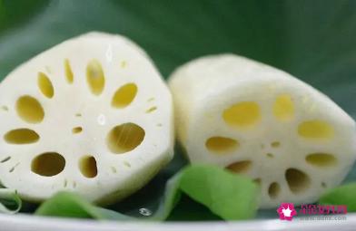 又高产又粉的莲藕品种