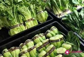 超市蔬菜9种保鲜方法