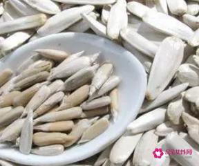 生葵花籽的功效和作用