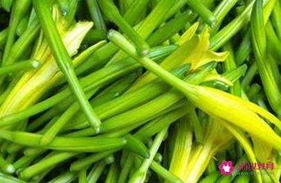 女人必吃的十大补品排名