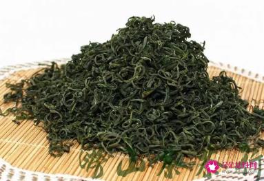 崂山绿茶的功效