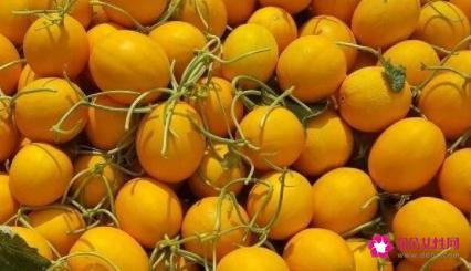 甜瓜的营养价值有哪些