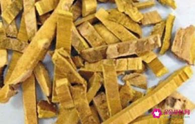 黄柏的作用和功效