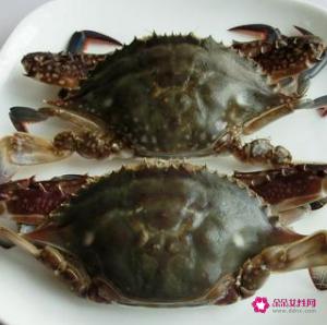 梭子蟹螃蟹要蒸多久才能蒸熟