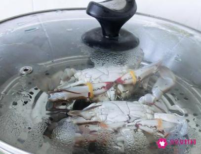 梭子蟹螃蟹要蒸多久才能蒸熟