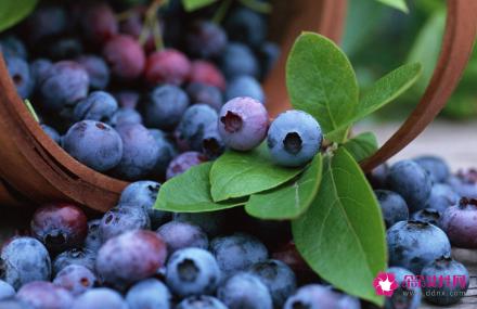 吃了对眼睛好的水果有哪些