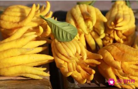 吃了对眼睛好的水果有哪些