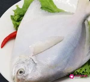 鲳鱼的营养价值及功效