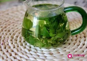 枣叶茶的功效与作用