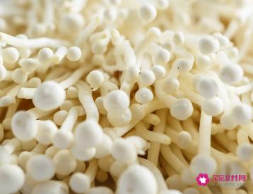 金针菇的作用及营养价值