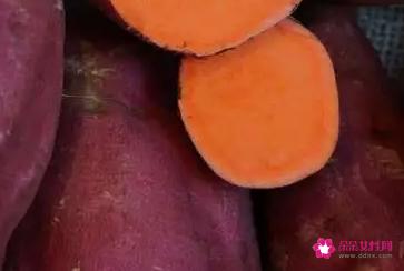 女生减肥餐食谱大全