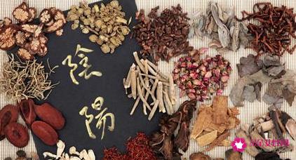 桑白皮的功效与作用的功能与主治与用量