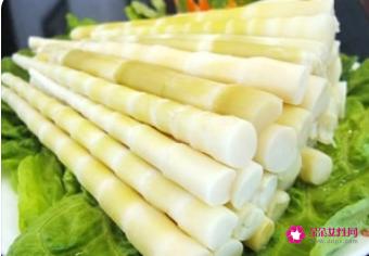 竹笋的功效和作用是什么