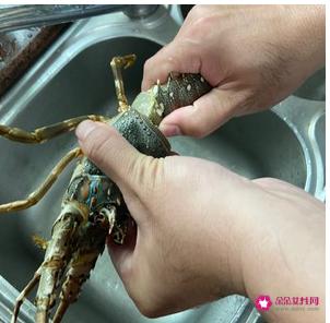清蒸大龙虾的做法