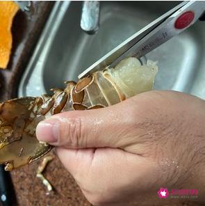 清蒸大龙虾的做法