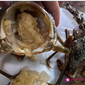 清蒸大龙虾的做法