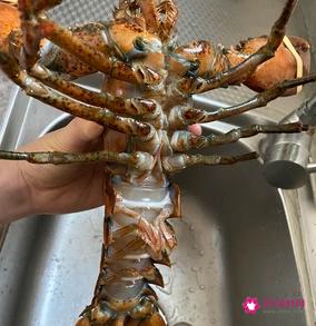 清蒸大龙虾的做法