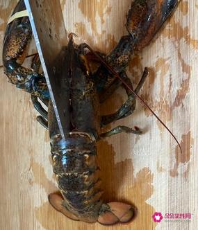 清蒸大龙虾的做法