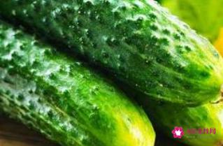 三高人群吃什么食物好