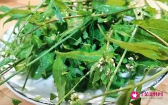 荠菜哪些人不能吃