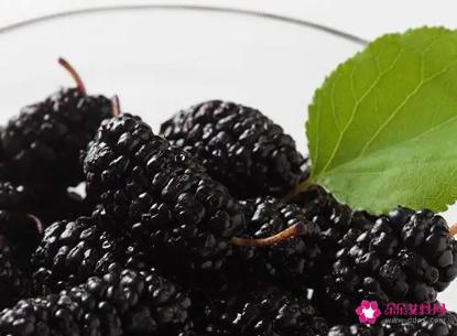 桑葚的五种吃法