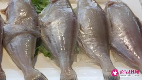 耗儿鱼的其他特性