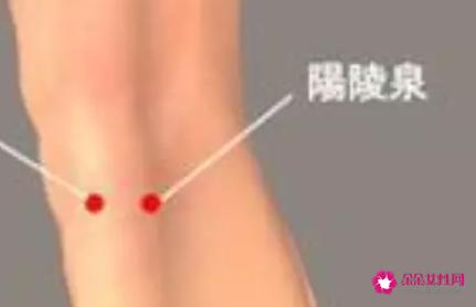 阴陵泉的功效与作用