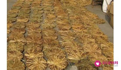 茶枯的功效有什么