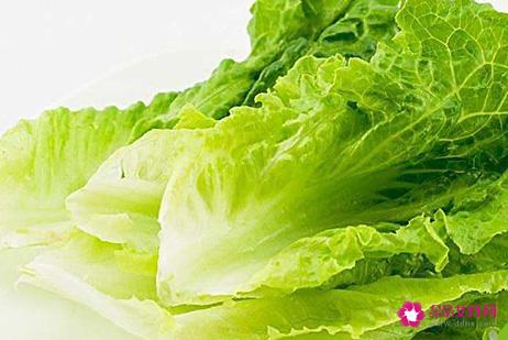 生菜的种植方法有哪些