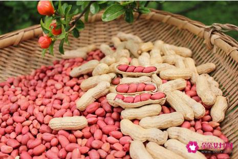 慢性胃炎吃什么食物好