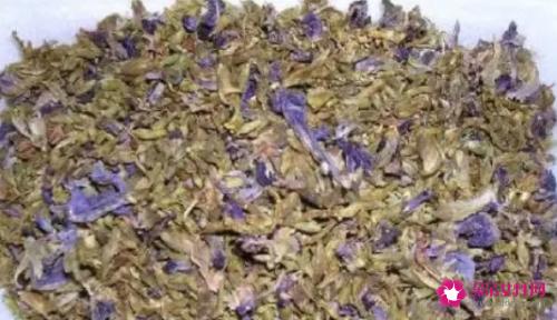 葛花茶的作用与功效有哪些