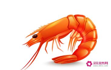 虾皮不能和什么食物一起吃