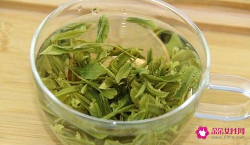毛峰茶的冲泡方法