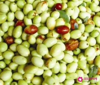 金丝枣的功效与作用