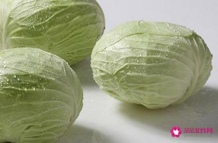 卷心菜的功效与作用禁忌和食用方法