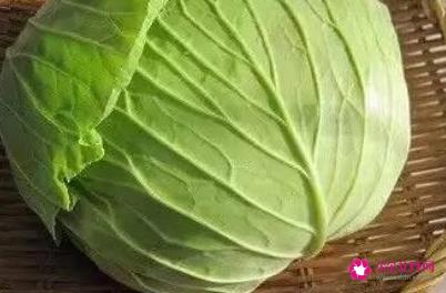 卷心菜的功效与作用禁忌和食用方法